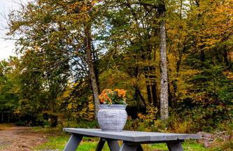 Beautiful Airstream Glamping Site for Romantic Weekends Away in North Carolina - Photo 5