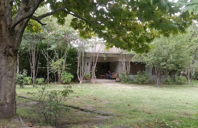 Springfield - Photo 1