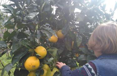 Agroturismo La Casona de Belmonte - Foto 98