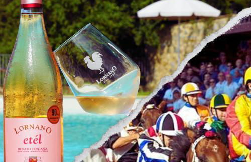 Fattoria Lornano Winery - Foto 84