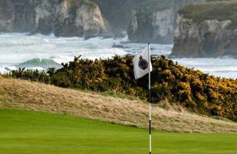 The Nook @ Rowan Tree Cottage - Foto 37