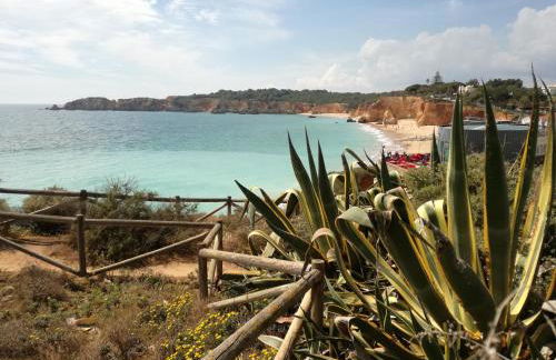 Apartamento Jeni Residencia Flamingo - Photo 29