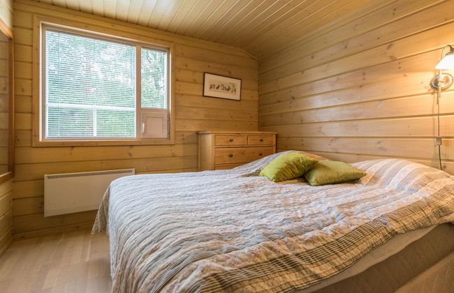 Himosaurinko - Foto 14