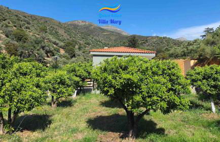 Litinos Villas - Foto 3