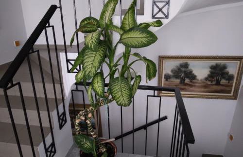 Villa in Panorama, Thessaloniki, with a swimming pool. Host: Mr. George - Foto 74