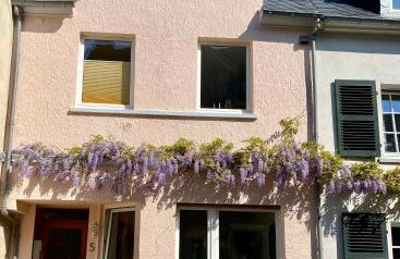 Stück vom Glück - Foto 24