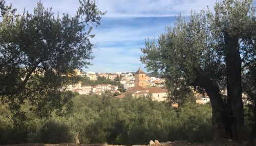 Jardin Andaluz veleta - Foto 2