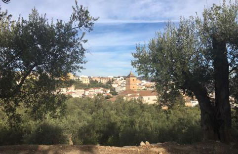 Jardin Andaluz veleta - Foto 2