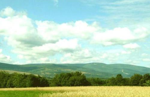 Holiday Home in Gajówka mit Terrasse und Garten by Interhome - Foto 12