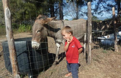 Monica di Sorbo - Foto 28
