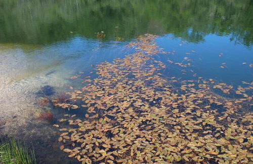 Casa do Castanheiro - Foto 7