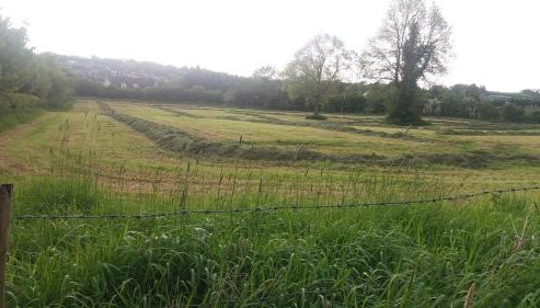 Aunt Mollie's Cottage - Foto 2