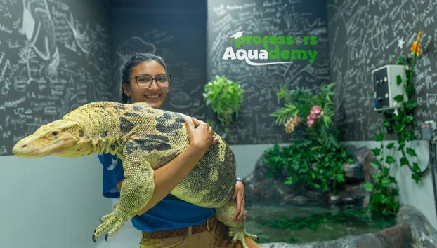 Uno dei rettili della struttura