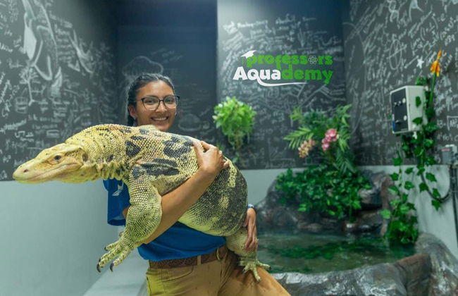 Entrada al Acuario Nacional de Abu Dhabi - Foto 4