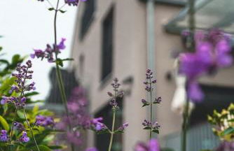 Freistehendes Ferienhaus Renkenmühle näher kann man am Wasser nicht wohnen - Foto 7