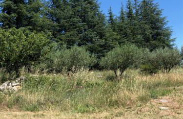 Kinsman sur Moment-Ardèche-com - Foto 18