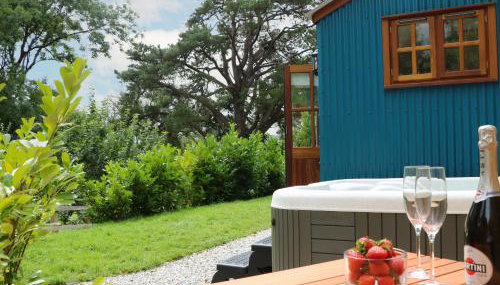 Little Silver Pheasant - Foto 5