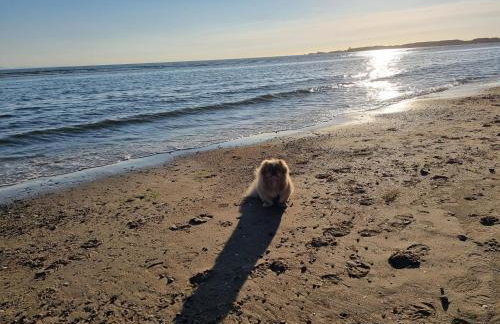 Seaview cottage North Wales - Foto 61