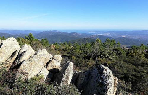 Apartment near St Tropez with pool - Foto 16