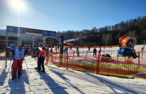 Lawendowy Domek agroturystyka, noclegi - 2,7 km od Bałtowa - Foto 25
