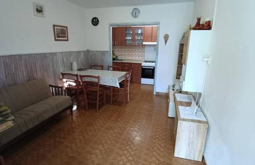 captain Ivo - Foto 21