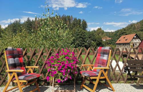 Ferienwohnung Paulinzella 9 inklusive Parkplatz und WLAN - Foto 14