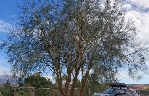 Il Calice dell'Etna - Foto 3