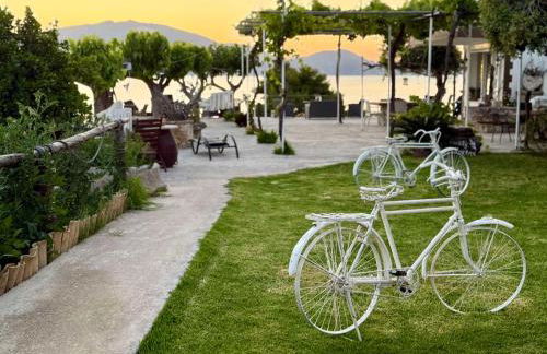 Koklas Studios - Foto 43