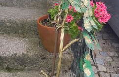 Dona Gracia Belmonte - Foto 63