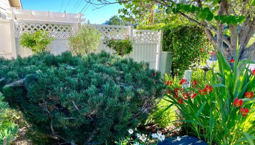 Warm and Inviting - Foto 4, Garden view