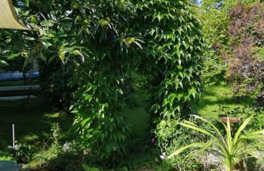 "Kleine Hedwig" - Foto 17