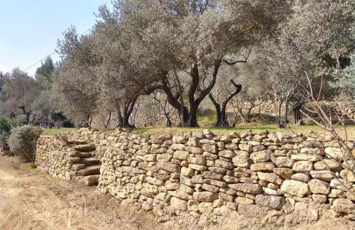 Gîte du domaine de l'Arbre de Vie - Foto 11