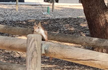 Alma&Mateo - Foto 42