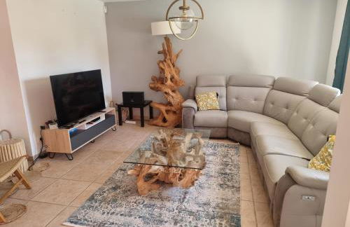 LA BASTIDE DE LUSON Villa 4 chambres Spa Sauna Piscine chaufée boulodrome - Foto 11