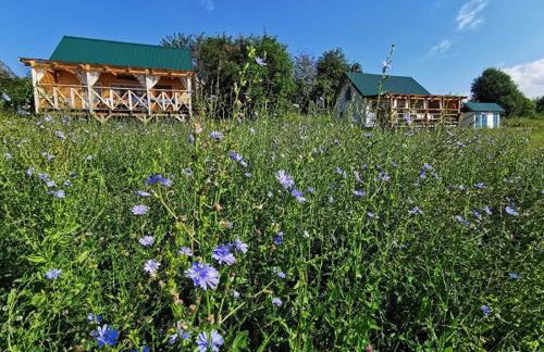 Przystan Ramotowo - Foto 3