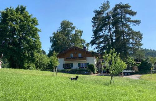 Ferienwohnung Goas-Alm - Photo 9