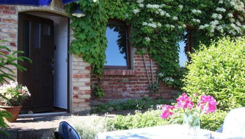 Rosi Comfortable holiday residence - Photo 2, Lobby or reception, Other