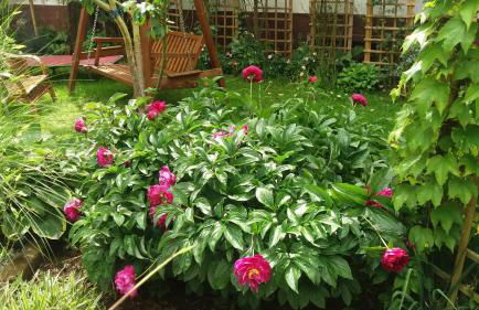 Urlaub mit Charme in der kleinsten Stadt der Pfalz. - Foto 44