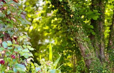 The Villetta - Foto 11