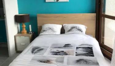 2 pièces rénové 36 m² - sud avec vue montagne - Foto 3