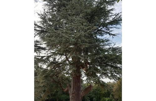 Chalet Bösleben - Foto 28