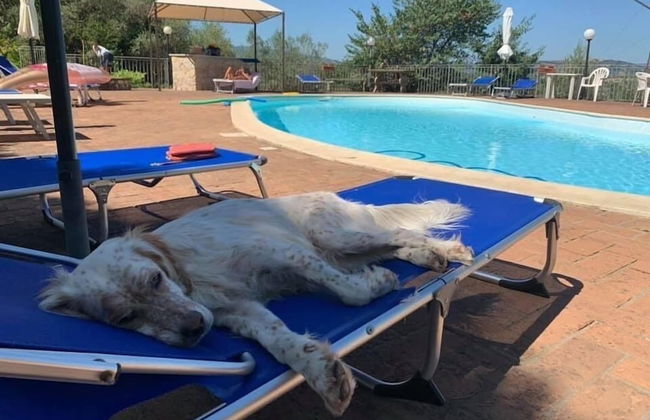 Setter House Agri Hotel - Foto 42