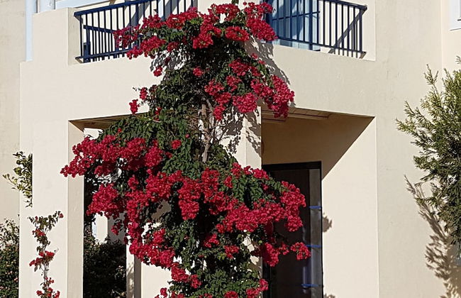 Bimbolla Apartaments - Foto 13