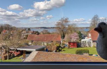 Schippkieker - Foto 15