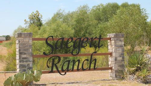 Setting the right vibes. - Foto 2