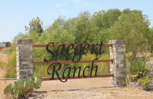 Setting the right vibes. - Foto 2