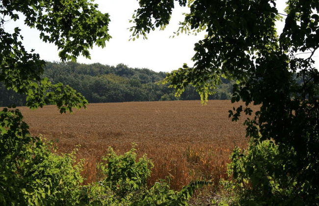 Quellenhof Comfortable Holiday Residence - Foto 14