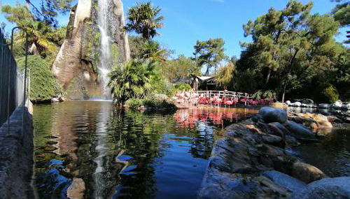 Maison à La Palmyre, proche commerces et plages - Foto 2