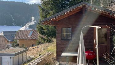 Rafael Apartment mit Sauna & HS-Card - Greschuk Apartments - Foto 2