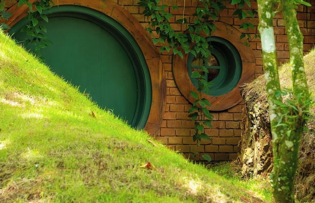 The Grand Forest Jarabacoa - Photo 40